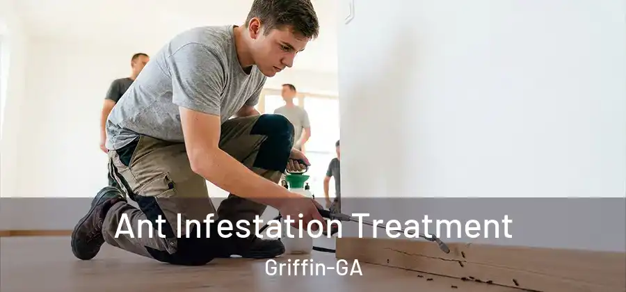  Ant Infestation Treatment Griffin-GA