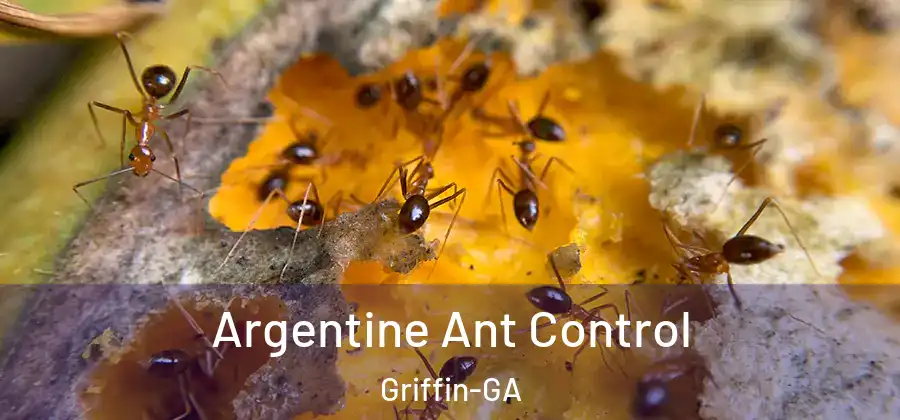  Argentine Ant Control Griffin-GA