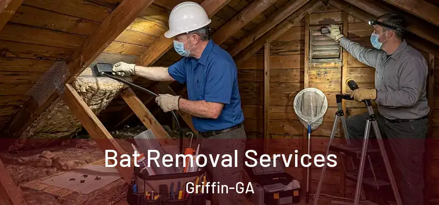  Bat Removal Services Griffin-GA