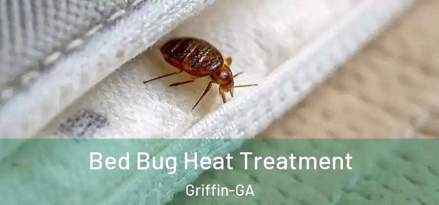 Bed Bug Heat Treatment Griffin-GA