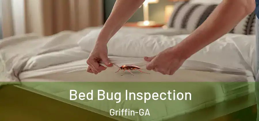  Bed Bug Inspection Griffin-GA