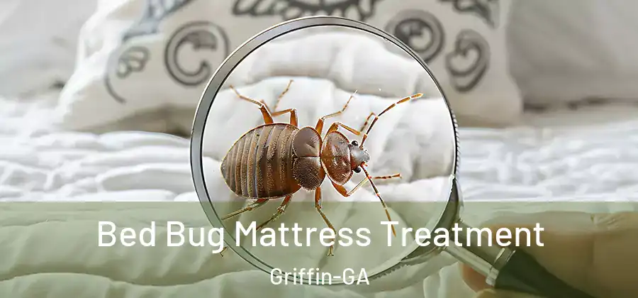 Bed Bug Mattress Treatment Griffin-GA