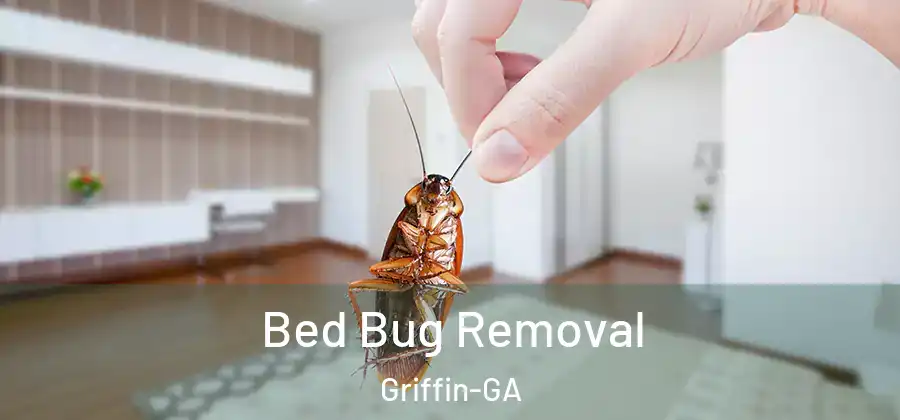  Bed Bug Removal Griffin-GA