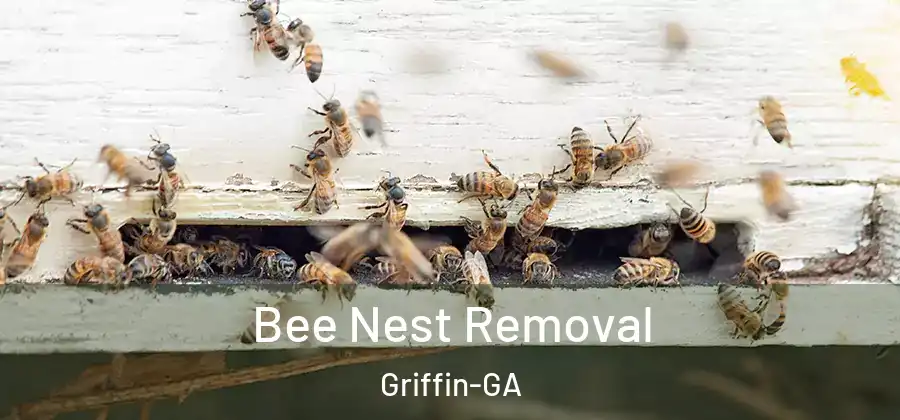  Bee Nest Removal Griffin-GA