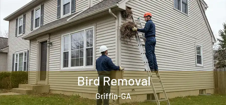 Bird Removal Griffin-GA