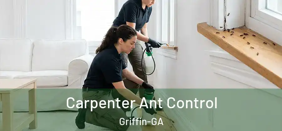  Carpenter Ant Control Griffin-GA