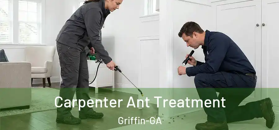  Carpenter Ant Treatment Griffin-GA