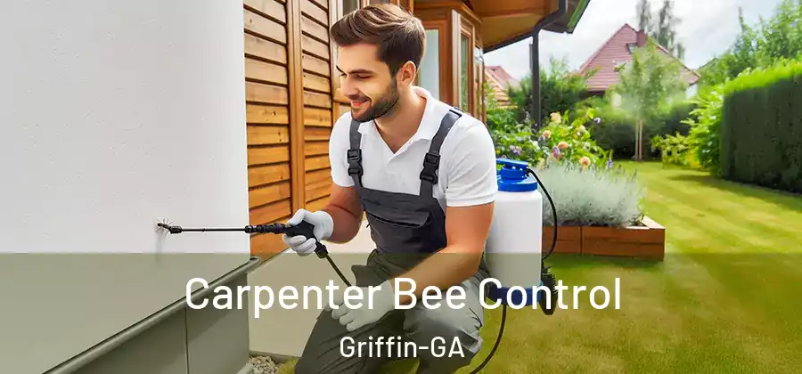 Carpenter Bee Control Griffin-GA