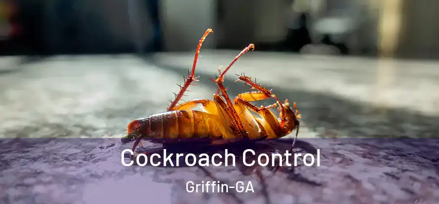 Cockroach Control Griffin-GA