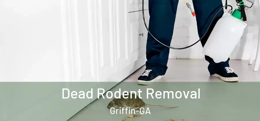  Dead Rodent Removal Griffin-GA