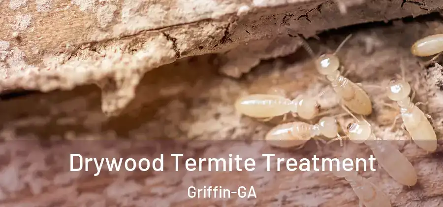  Drywood Termite Treatment Griffin-GA