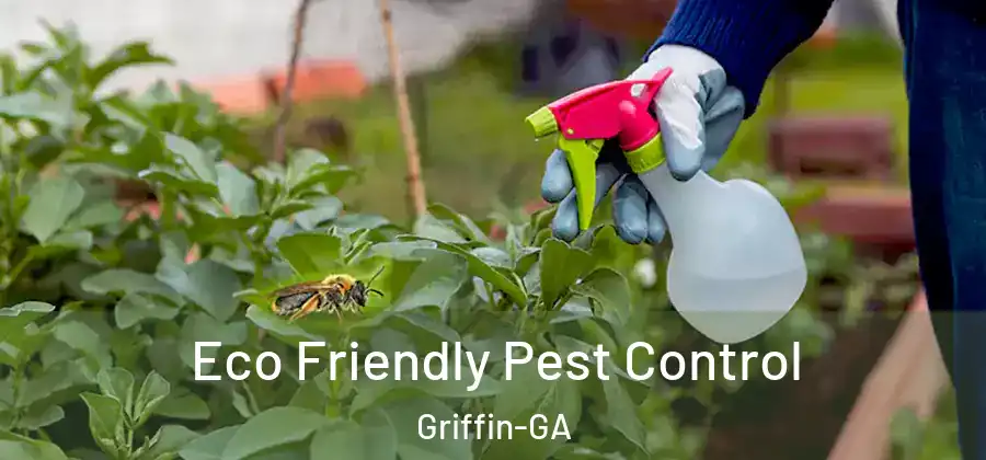  Eco Friendly Pest Control Griffin-GA