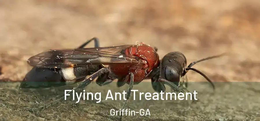  Flying Ant Treatment Griffin-GA
