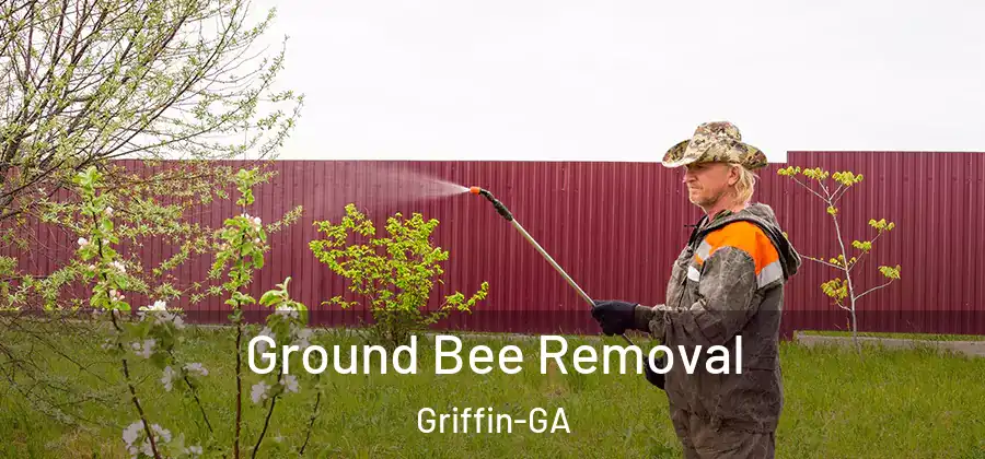 Ground Bee Removal Griffin-GA