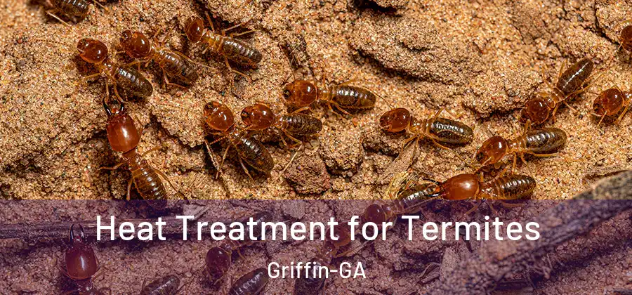  Heat Treatment for Termites Griffin-GA