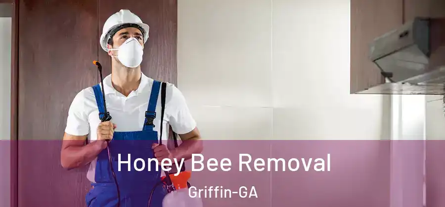 Honey Bee Removal Griffin-GA