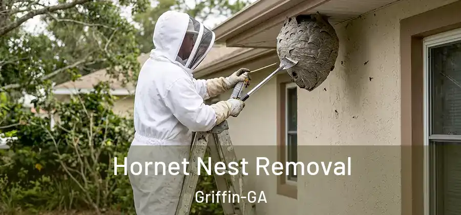  Hornet Nest Removal Griffin-GA