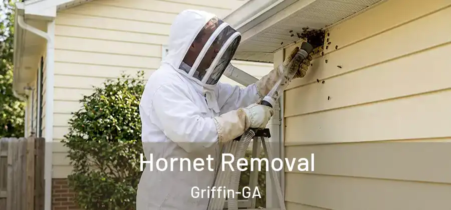 Hornet Removal Griffin-GA