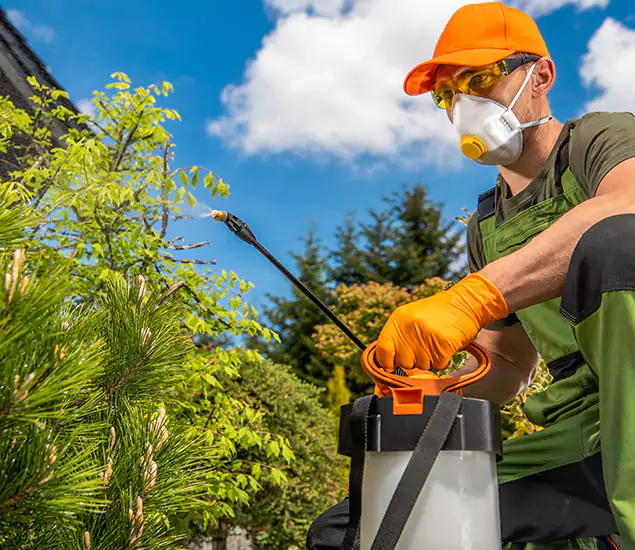 Your Best Bug Spray for Home Team in Griffin, GA