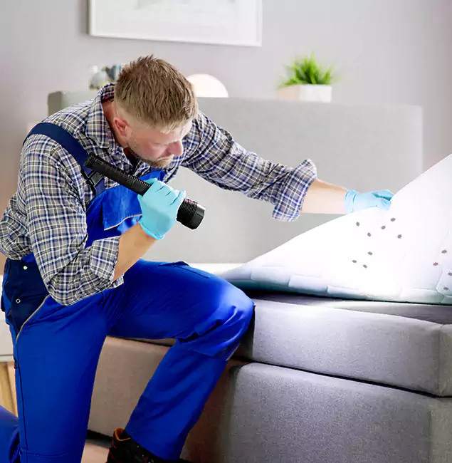 Why Choose Griffin Pest Control Pro For Bed Bug Heat Treatment in Griffin, GA?