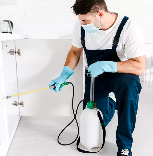 Why Griffin, GA Homeowners Trust Us for German Roach Control?