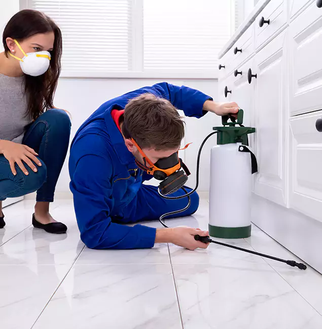 Why Griffin, GA Homeowners Trust Griffin Pest Control Pro for Roach Control?