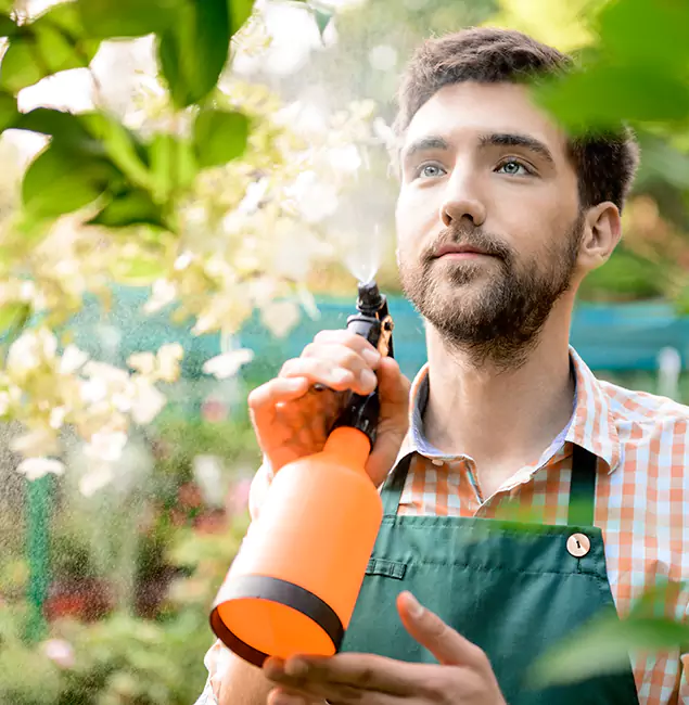 Why Griffin Homeowners Call Griffin Pest Control Pro for Mosquitoes in House?