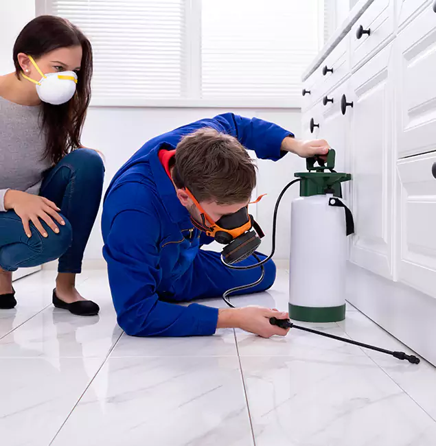 Why Choose Wood Termite Treatment by Griffin Pest Control Pro in Griffin, GA?
