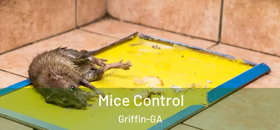  Mice Control Griffin-GA