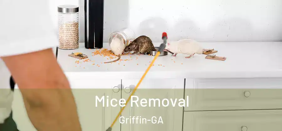  Mice Removal Griffin-GA