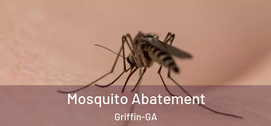 Mosquito Abatement Griffin-GA