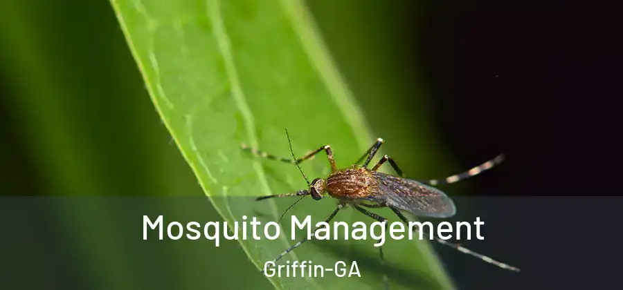  Mosquito Management Griffin-GA
