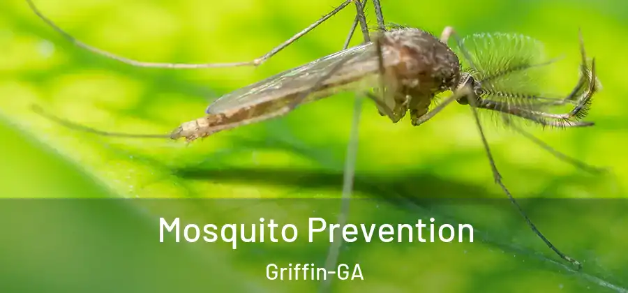  Mosquito Prevention Griffin-GA