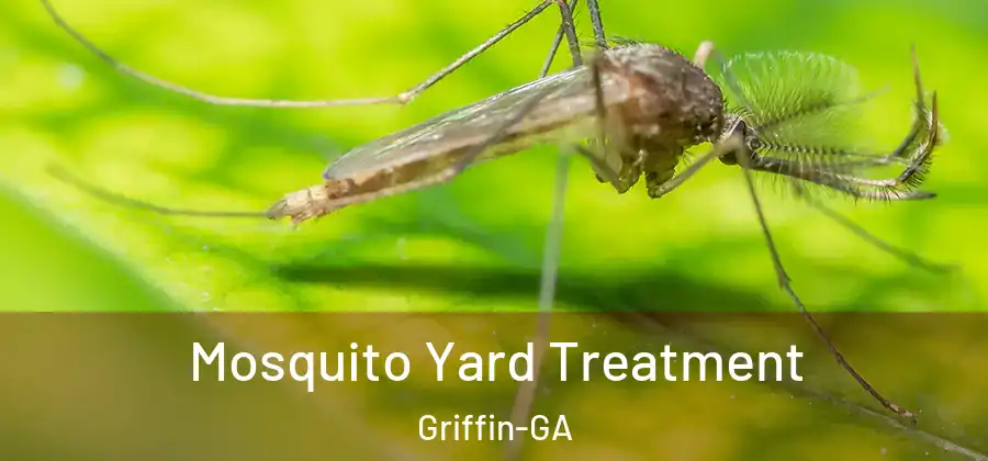  Mosquito Yard Treatment Griffin-GA