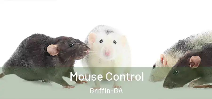 Mouse Control Griffin-GA