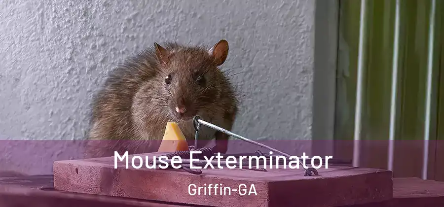  Mouse Exterminator Griffin-GA