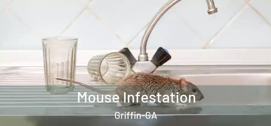  Mouse Infestation Griffin-GA