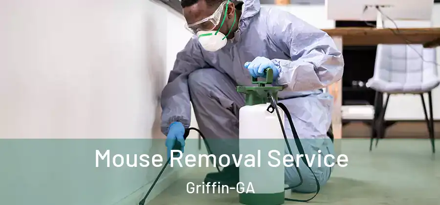 Mouse Removal Service Griffin-GA