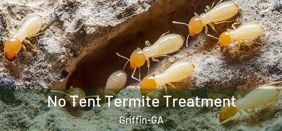 No Tent Termite Treatment Griffin-GA