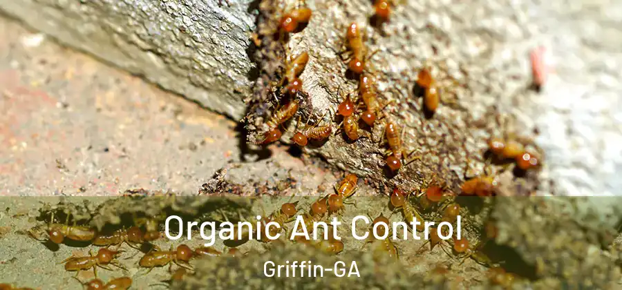 Organic Ant Control Griffin-GA