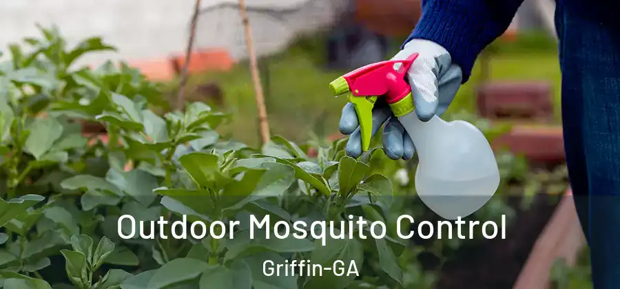 Outdoor Mosquito Control Griffin-GA