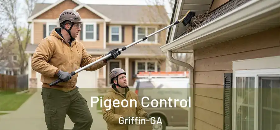  Pigeon Control Griffin-GA