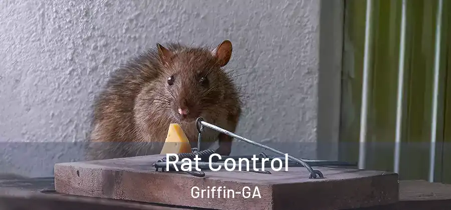  Rat Control Griffin-GA