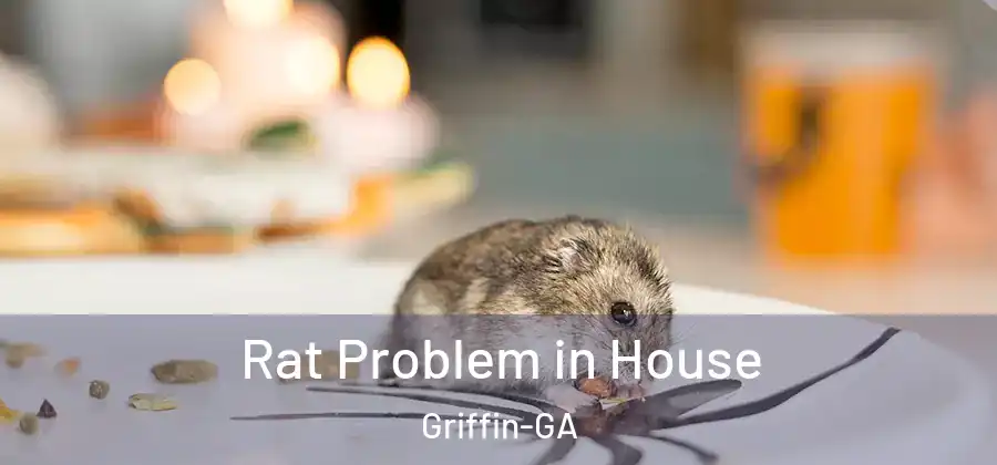  Rat Problem in House Griffin-GA