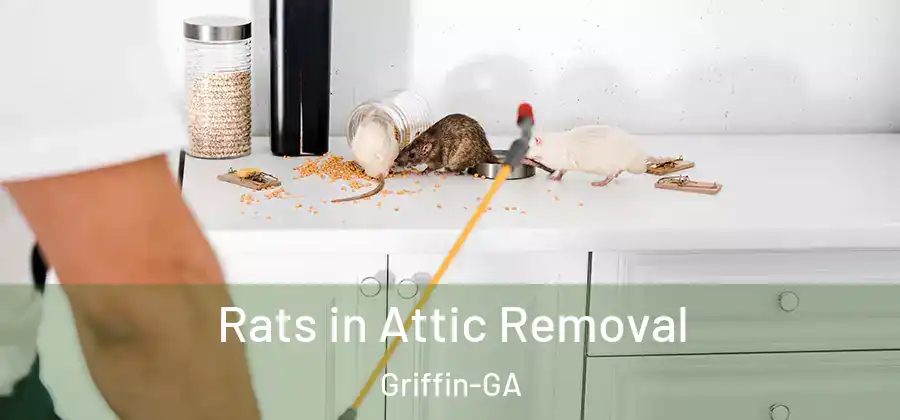 Rats in Attic Removal Griffin-GA