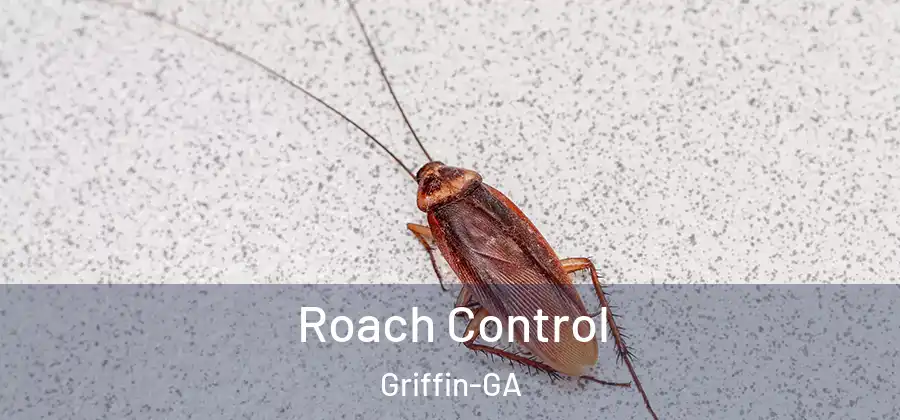 Roach Control Griffin-GA