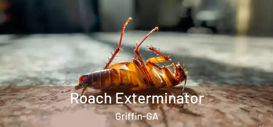Roach Exterminator Griffin-GA