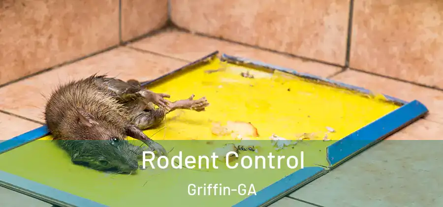  Rodent Control Griffin-GA