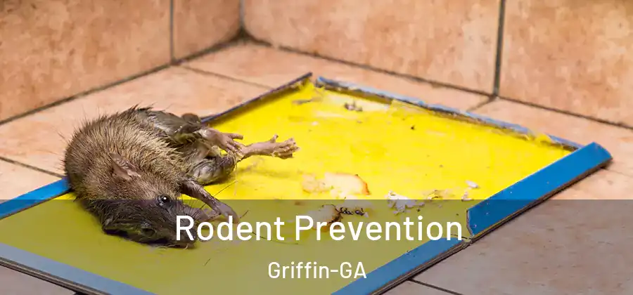  Rodent Prevention Griffin-GA