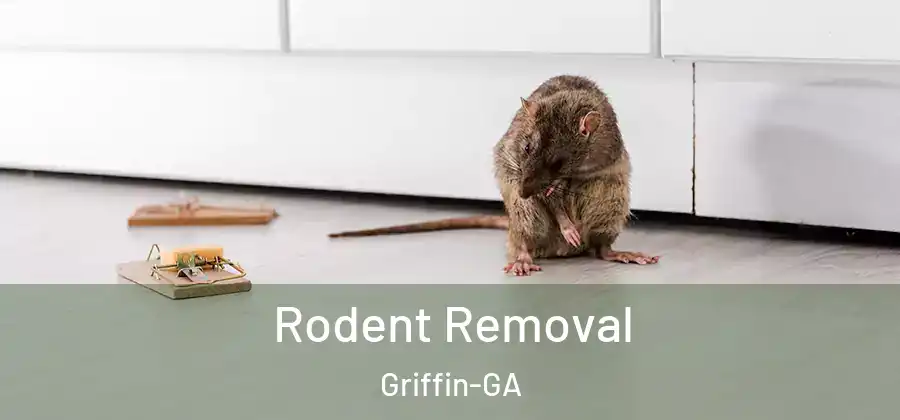  Rodent Removal Griffin-GA